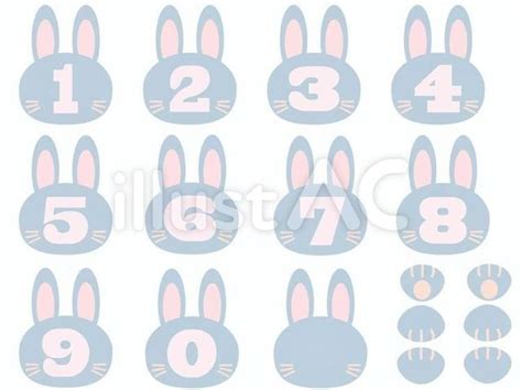 兔子代表數字